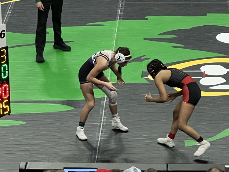 Hayley in the semifinals 