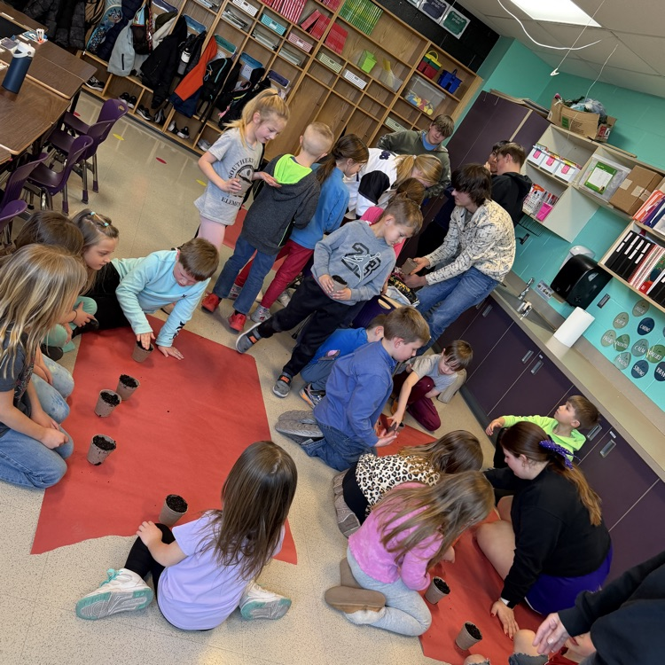 first graders planting seeds