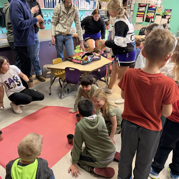 first graders planting seeds