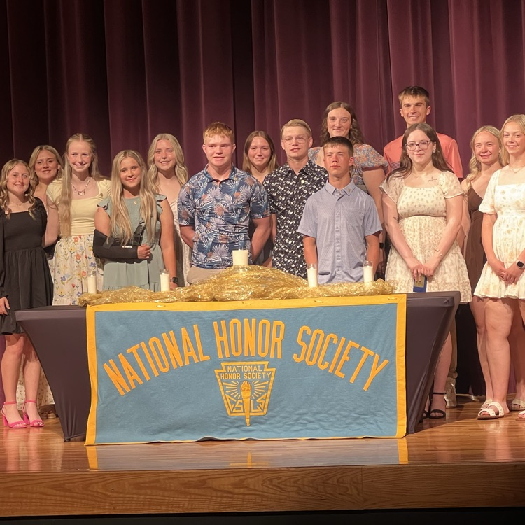 entire NHS group 