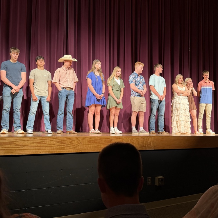 HS award winners 