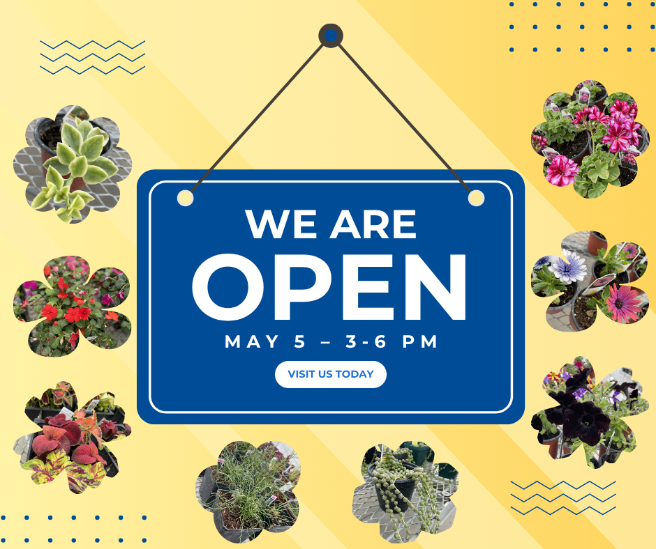 Open today