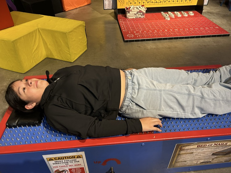 Bed of nails