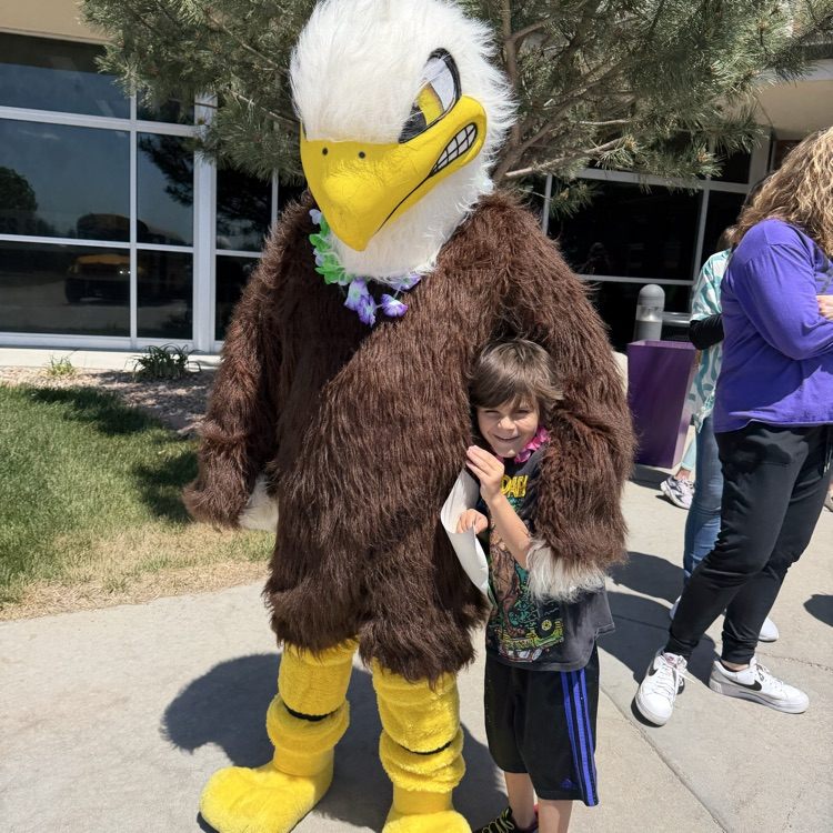 eagle1