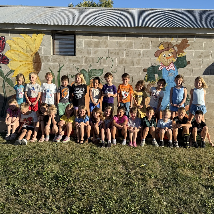pumpkin patch fun