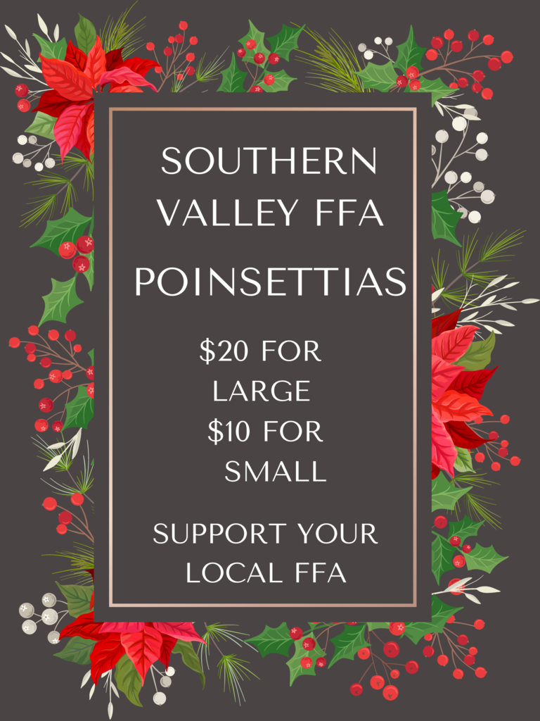 SV Poinsettias