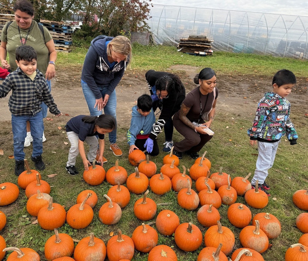 students and teachers picking pumpkins