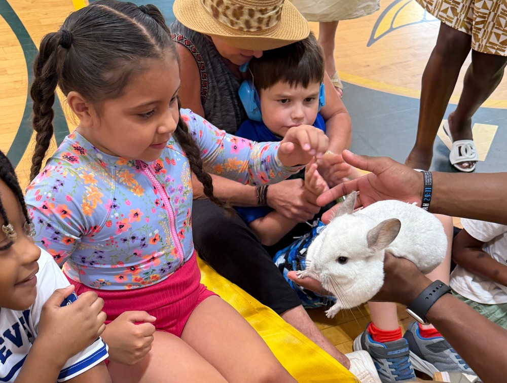 girl pets bunny held by teacher
