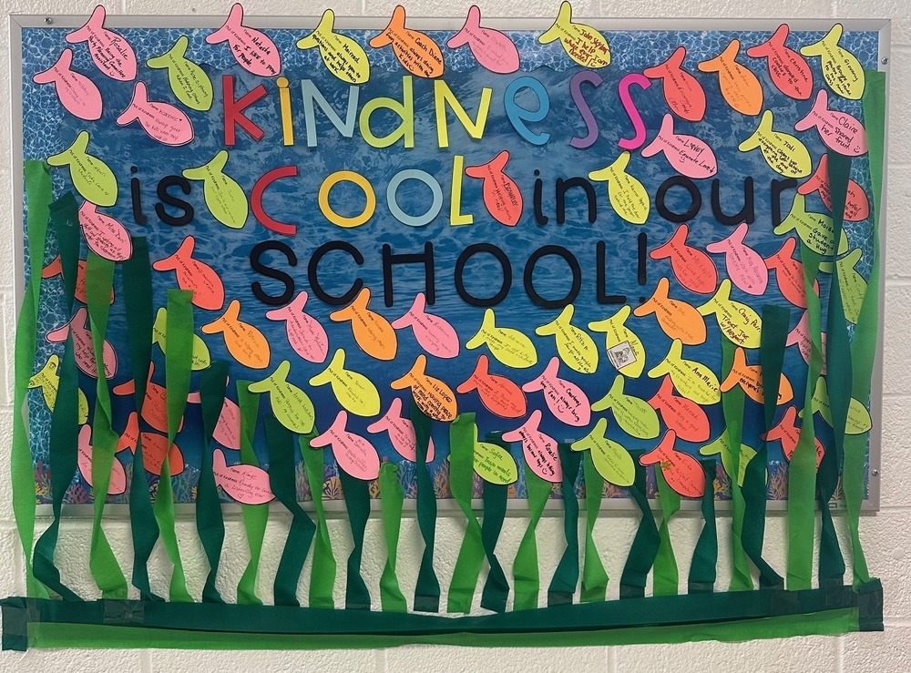 school of fish mural on  hallway bulletin board