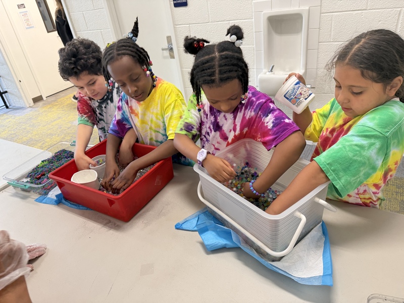 students play in garden boxes