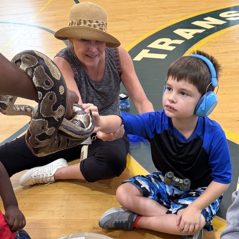 boy reaches out to pet snake