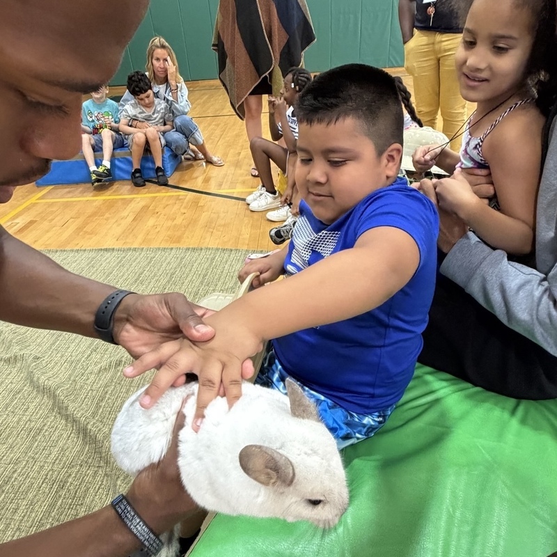 teacher guides boys hand to pet rabbit