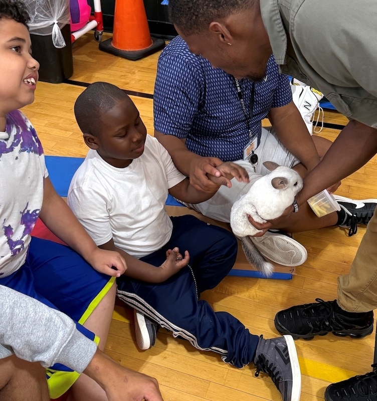 teacher holds rabbit so boy can pet it