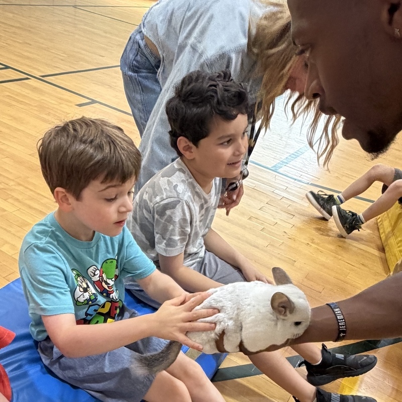 boy pets rabbit as classmate looks on