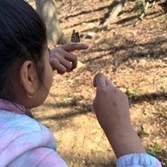 student watches as butterfly flies away