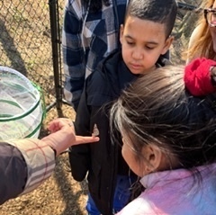 students watch together as butterflies emerge