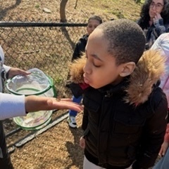 student greets a newly hatched butterfly