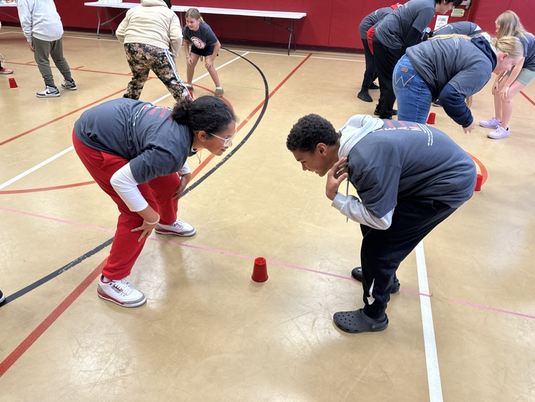 ⭐️⭐️⭐️⭐️⭐️