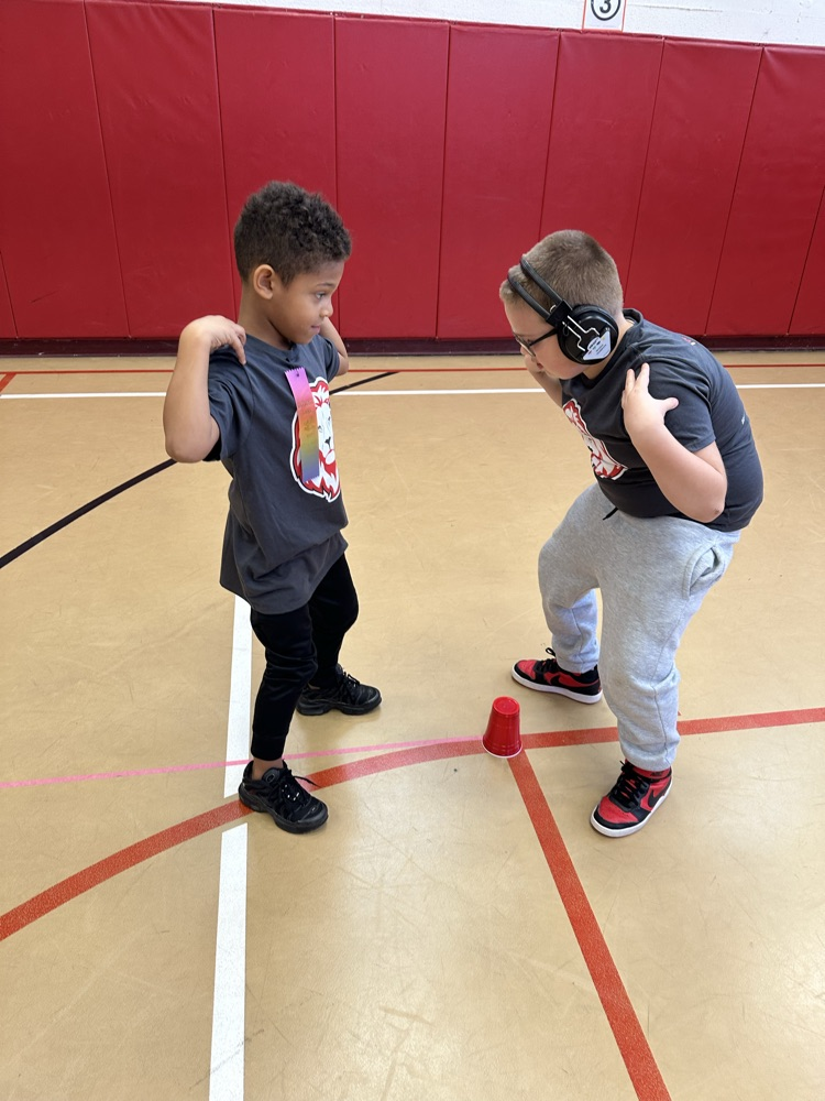 ⭐️⭐️⭐️⭐️⭐️