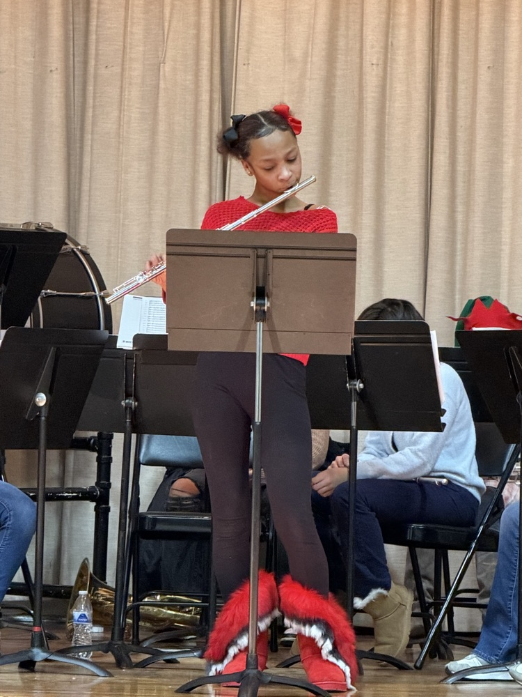 ⭐️⭐️⭐️⭐️⭐️