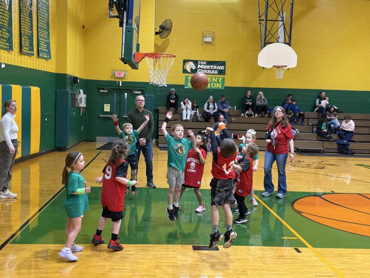 ⭐️⭐️⭐️⭐️⭐️