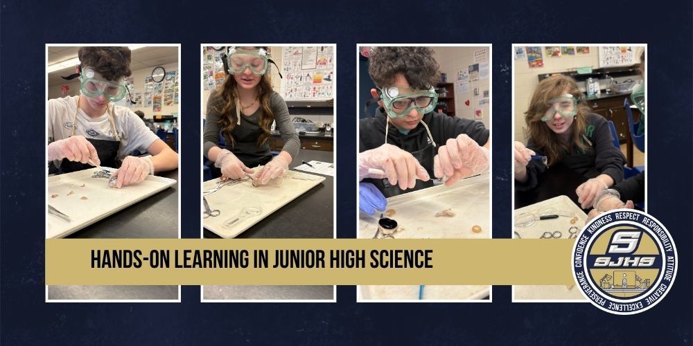 Students dissecting sheep eye