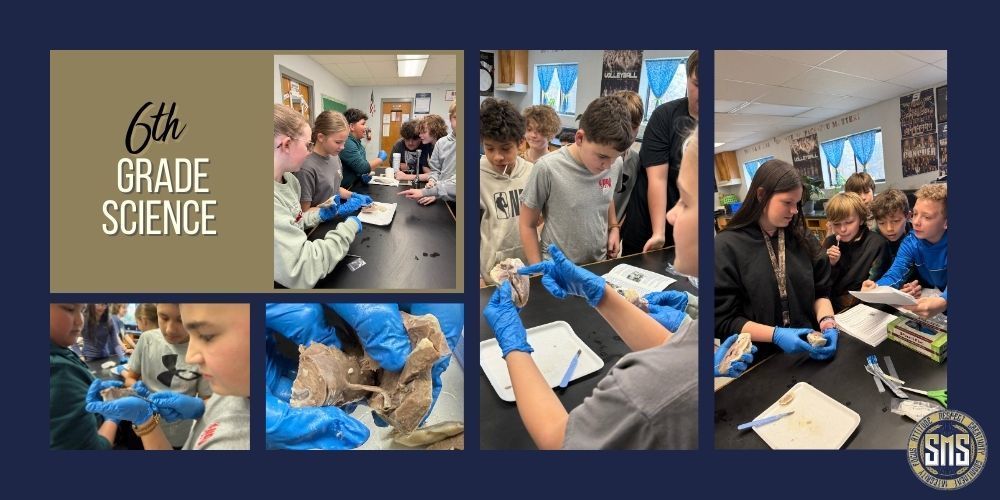 Five pictures of students dissecting a sheep's heart
