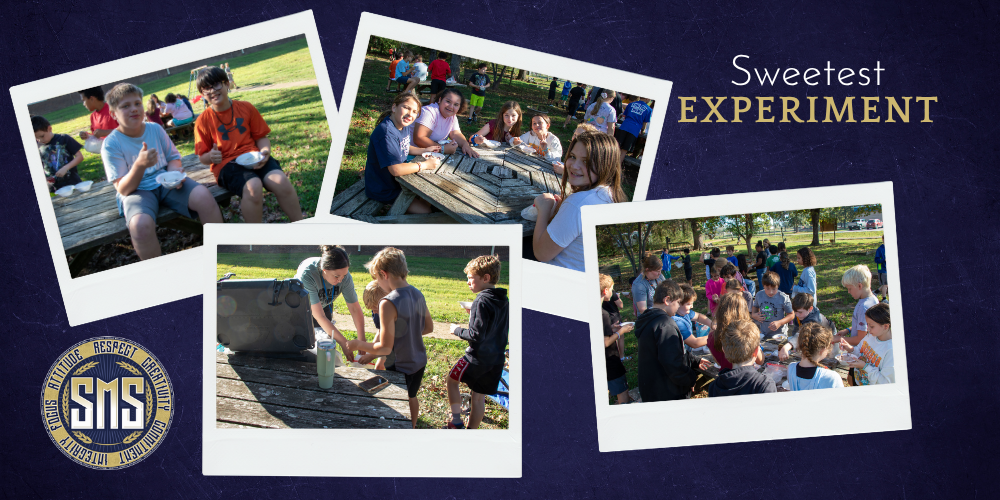 Collage of 5th Grade