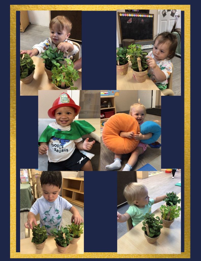 toddlers exploring plants