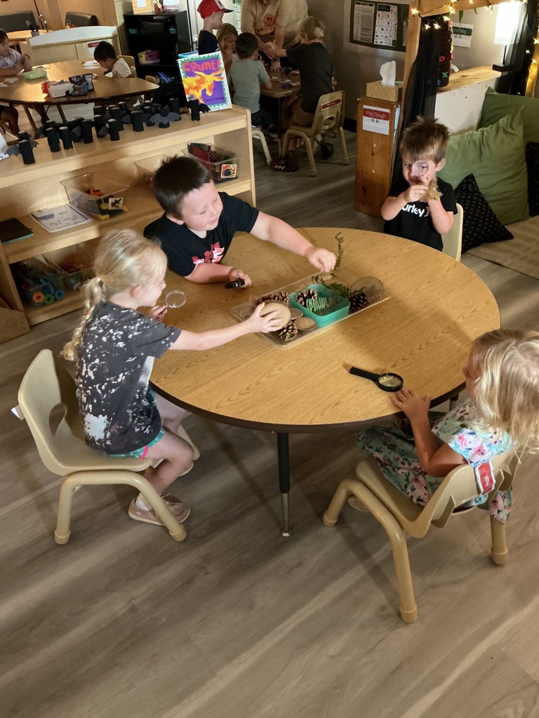 children using sense sight