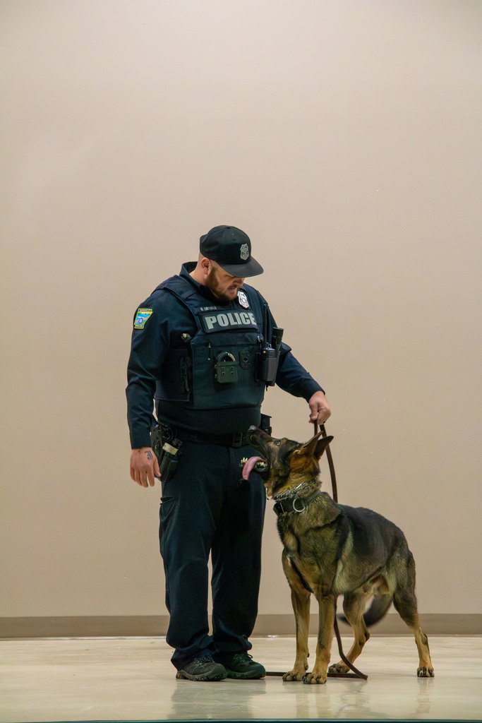 k9 looks at his partner