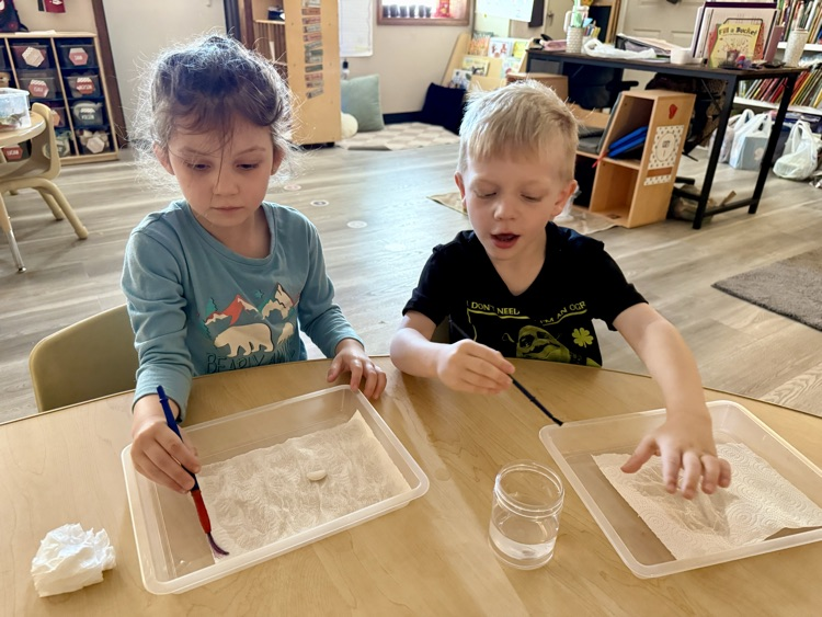 child doing Lima bean experiment