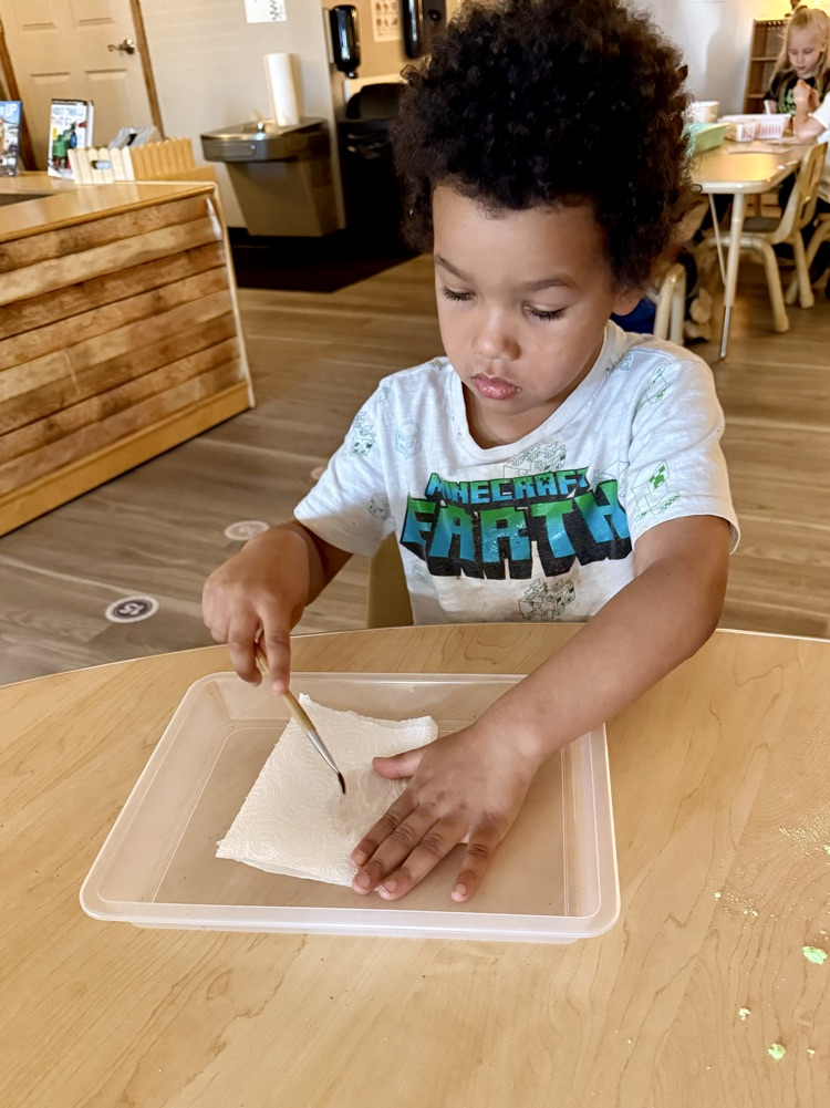 child doing Lima bean experiment