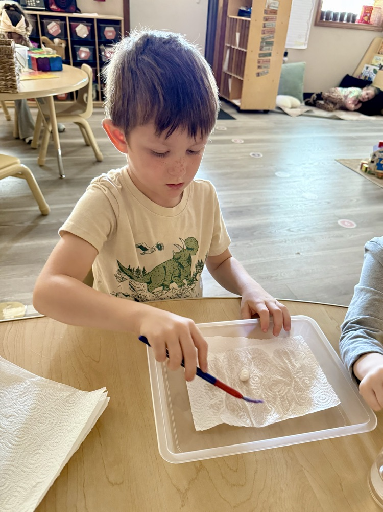 child doing Lima bean experiment
