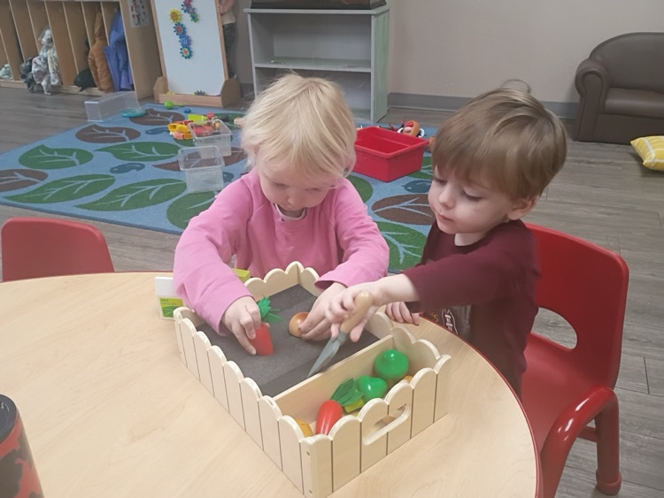 children learning about planting vegetables