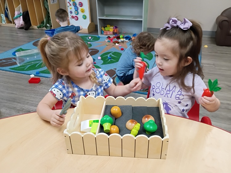 children learning about planting vegetables