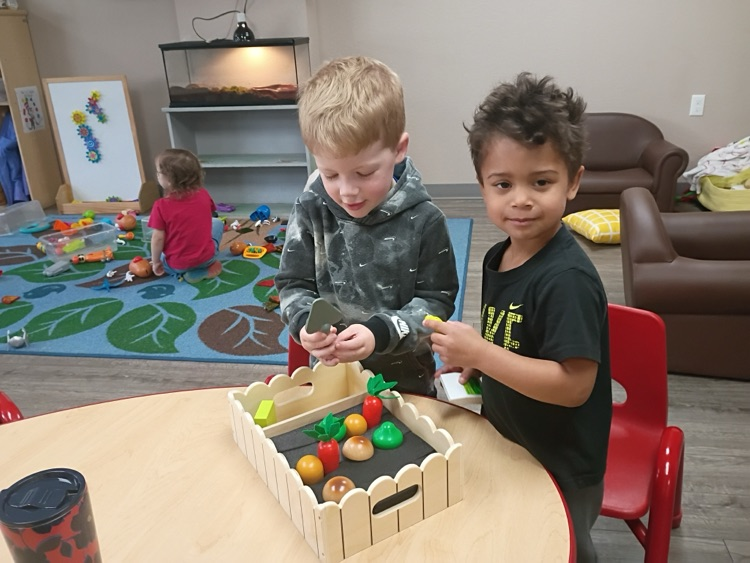 children learning about planting vegetables