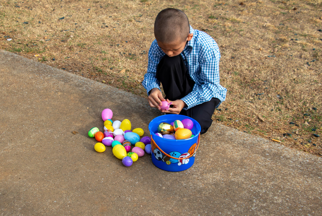 boy checking easter eggs