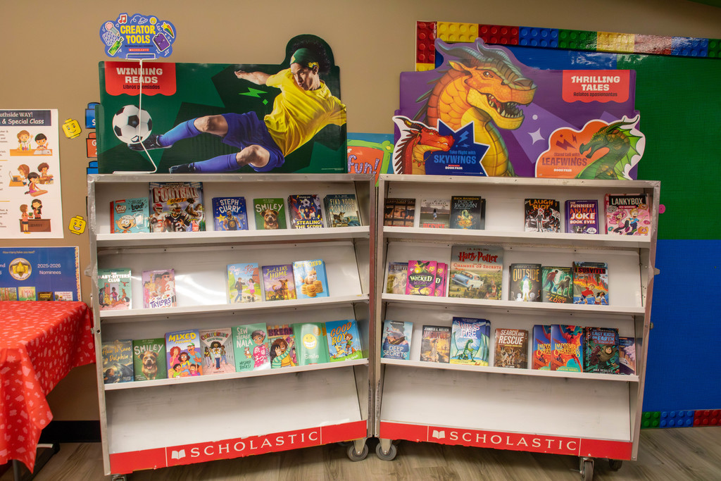 book fair shelves