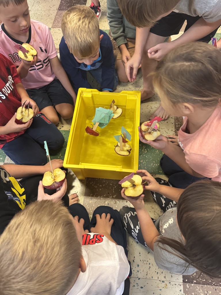 1st grade fun!!