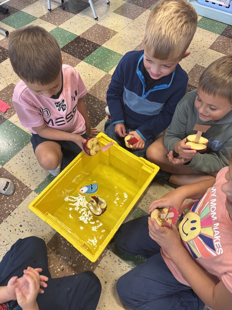 1st grade fun!!