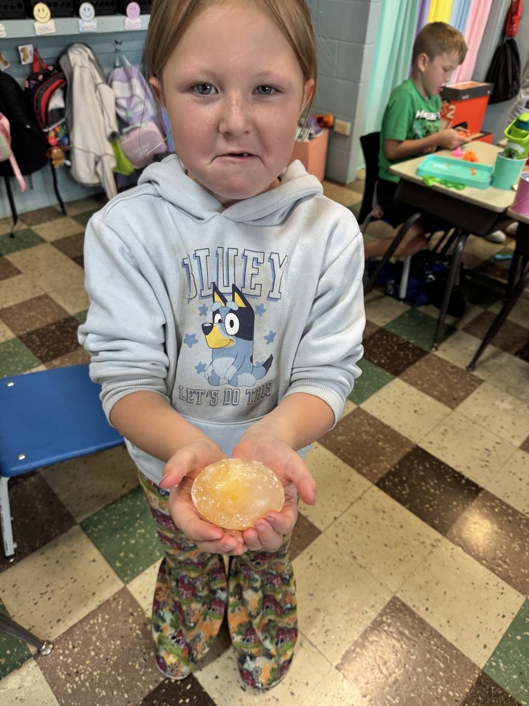 1st grade fun!!