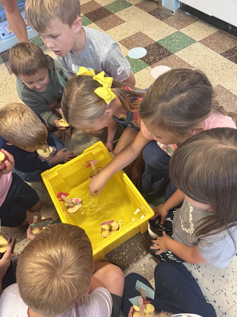1st grade fun!!