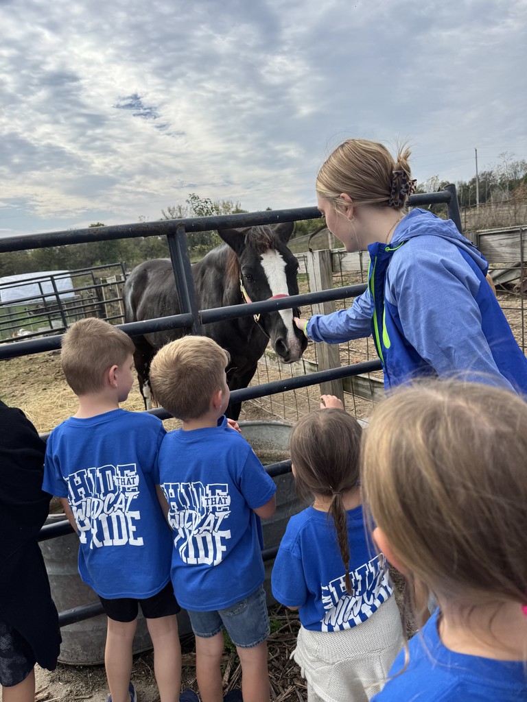 October fun in first grade!