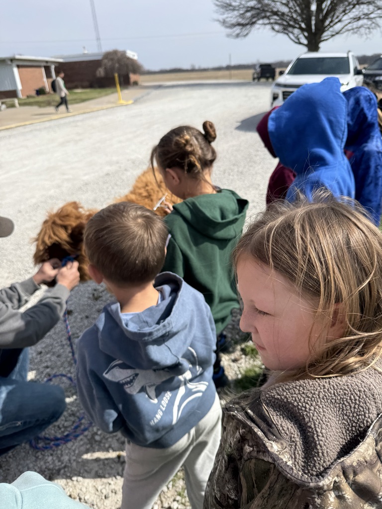 Mrs. Kline's first-grade class welcomed Partners in Education, Webb Cattle Company, today. The visit brought learning to life as students engaged with a real-world perspective on agriculture and animal care. The kids loved Thelma, and she loved all of the attention. 