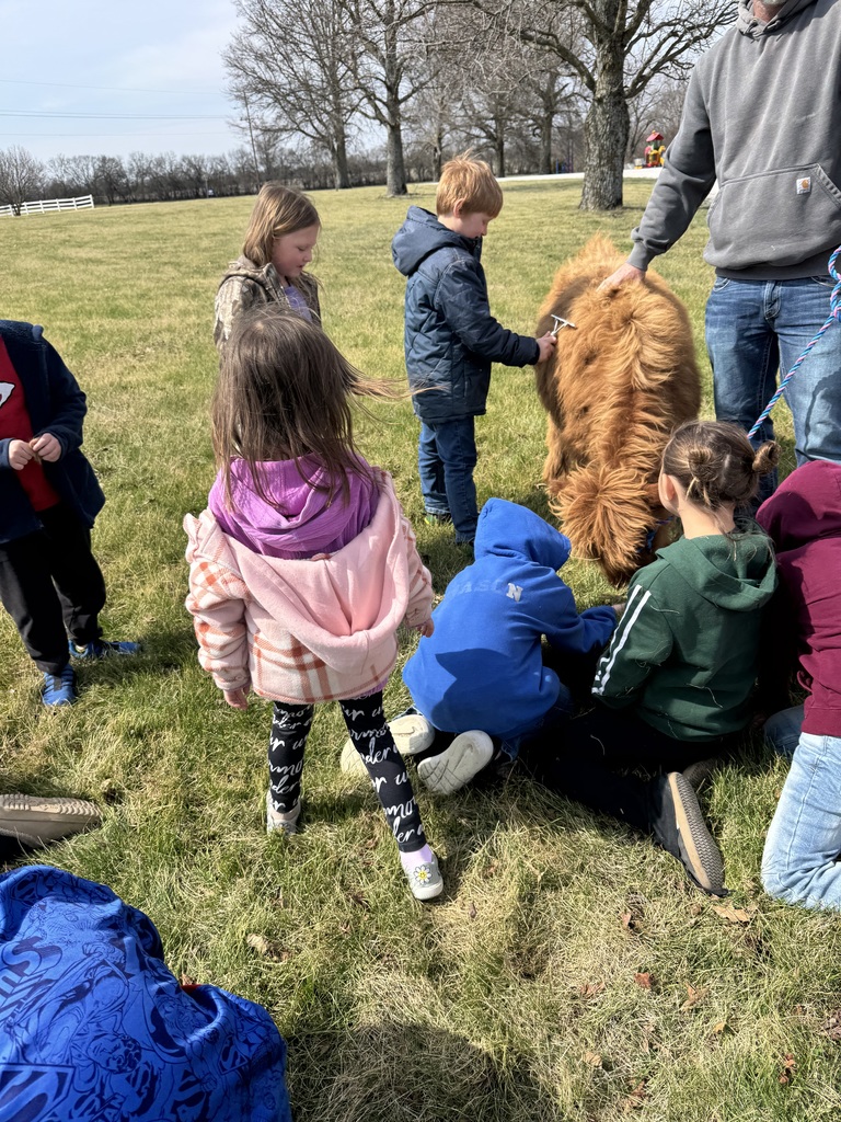 Mrs. Kline's first-grade class welcomed Partners in Education, Webb Cattle Company, today. The visit brought learning to life as students engaged with a real-world perspective on agriculture and animal care. The kids loved Thelma, and she loved all of the attention. 