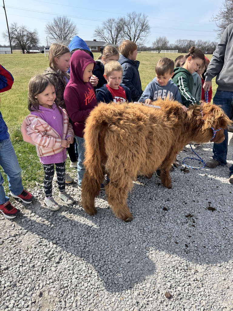 Mrs. Kline's first-grade class welcomed Partners in Education, Webb Cattle Company, today. The visit brought learning to life as students engaged with a real-world perspective on agriculture and animal care. The kids loved Thelma, and she loved all of the attention. 