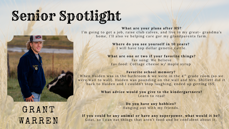 Spotlight 