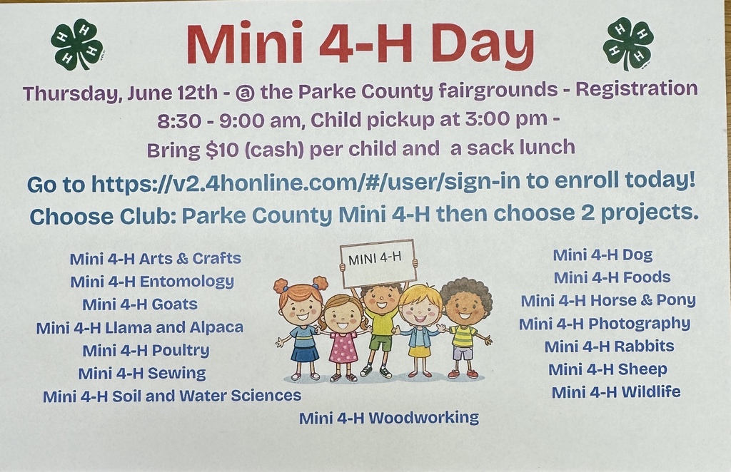 Mini 4-H