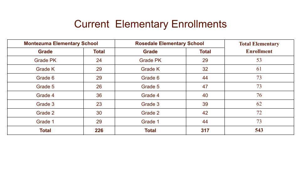 Elementary Enrollment Data